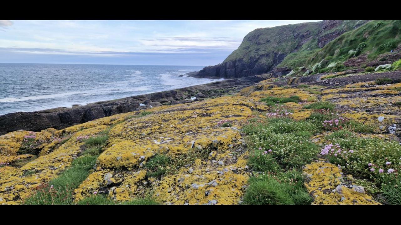 Sandy Cove Дънмор Ийст Екстериор снимка
